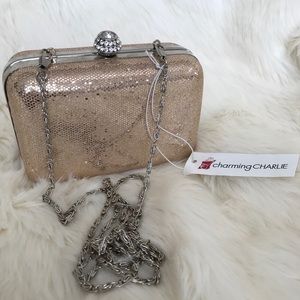 NWT Charming Charlie Clutch